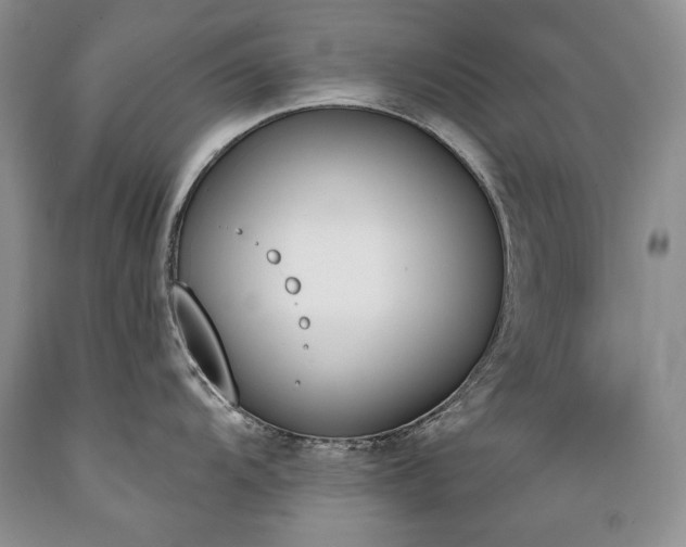 X0000089391104200706221312