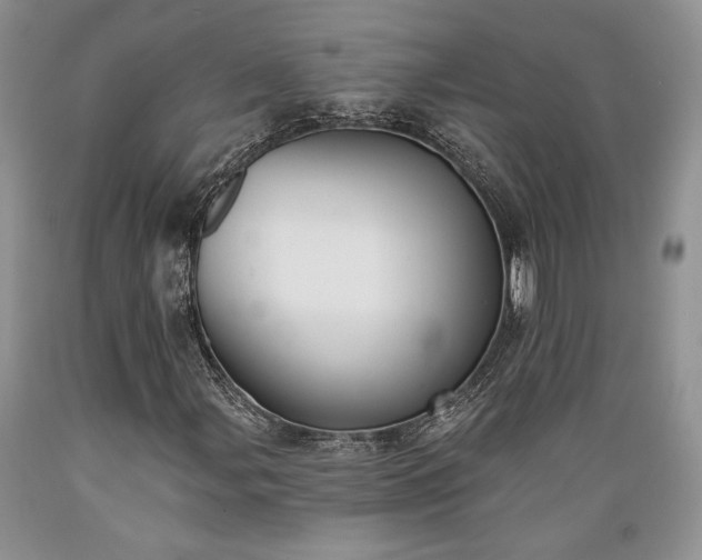 X0000089391107200706221311