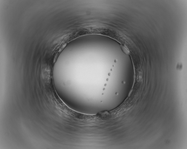 X0000089391108200706221311