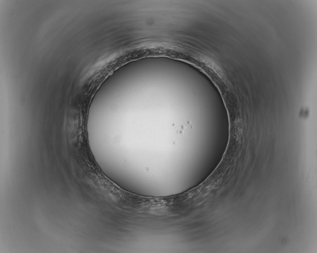 X0000089391111200706221311