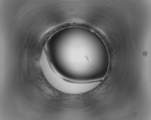 X0000089391112200706221311