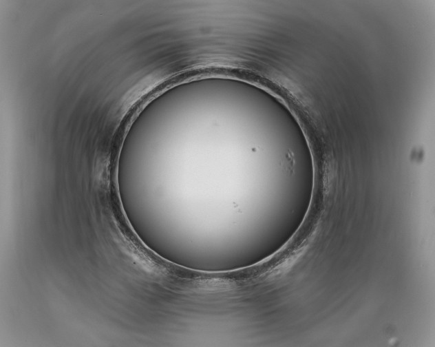 X0000089391113200706221311