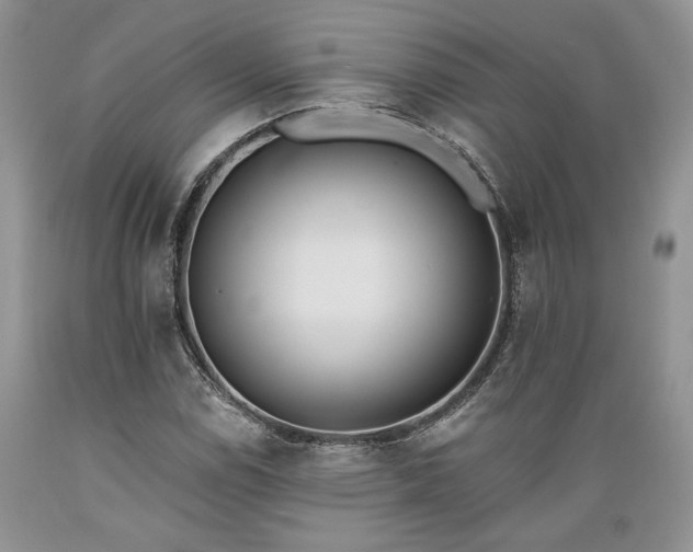 X0000089391114200706221311