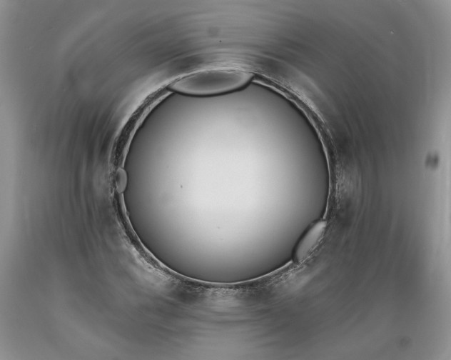 X0000089391116200706221311