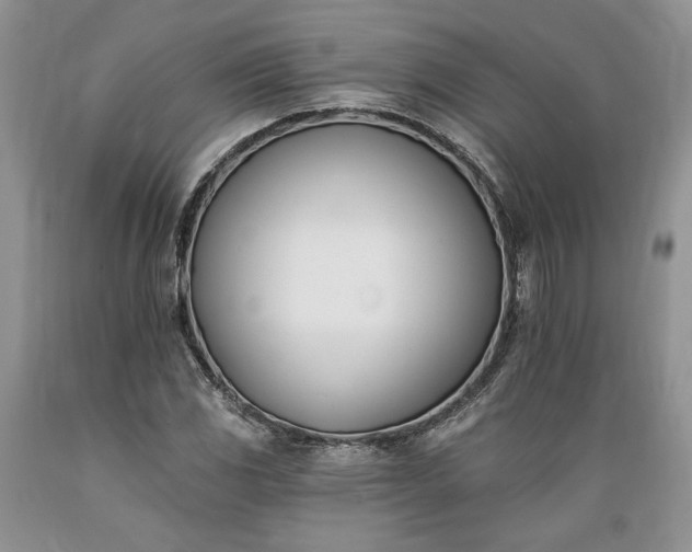 X0000089391117200706221312