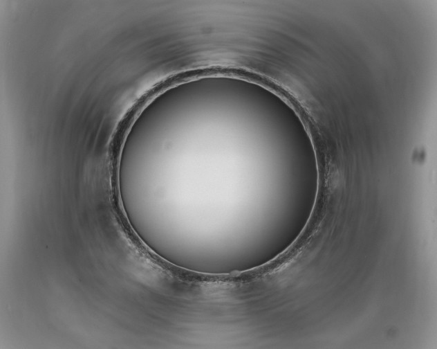 X0000089391118200706221312