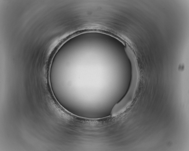 X0000089391120200706221312