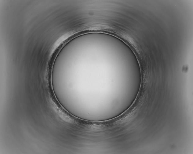 X0000089391122200706221312