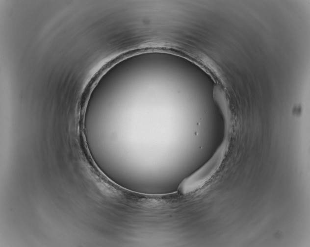 X0000089391124200706221312