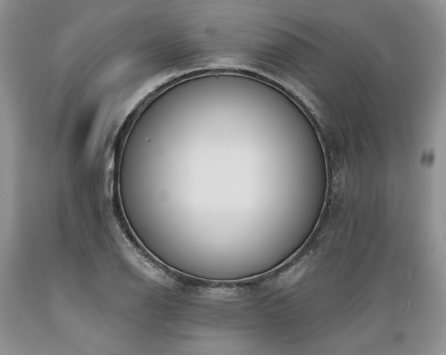 X0000089391126200706221312
