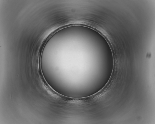 X0000089391127200706221312