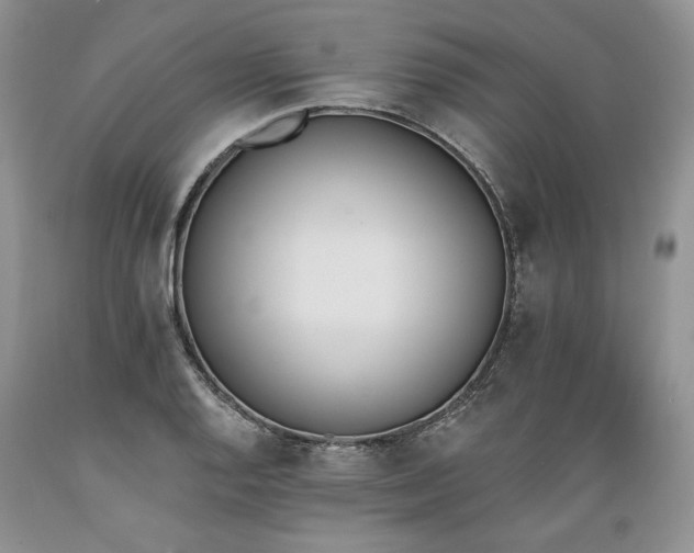 X0000089391128200706221312