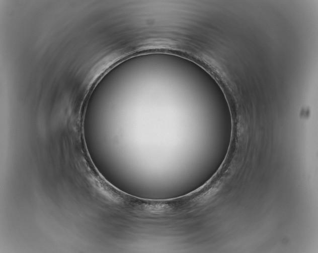 X0000089391129200706221312