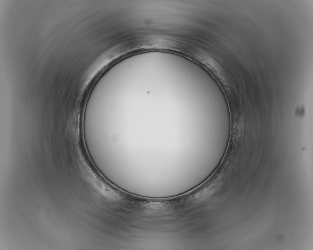 X0000089391130200706221312