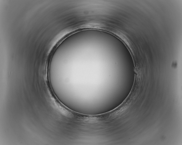 X0000089391131200706221312