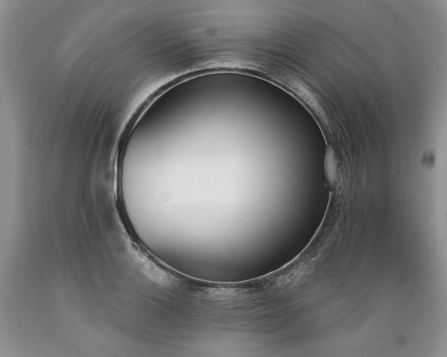 X0000089391132200706221312