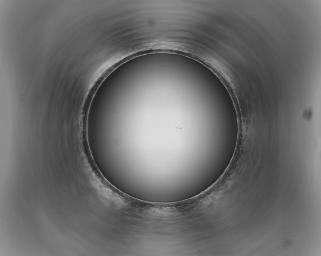 X0000089391133200706221312