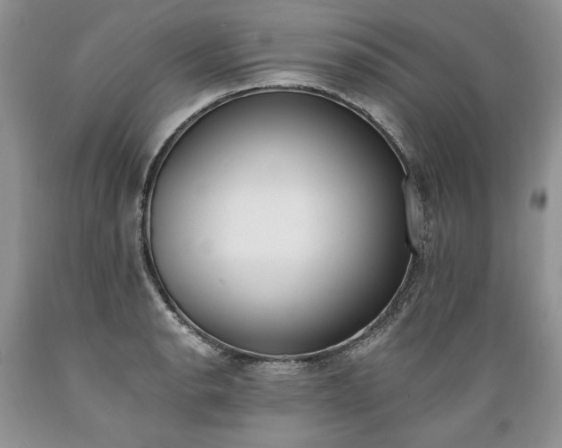 X0000089391134200706221312