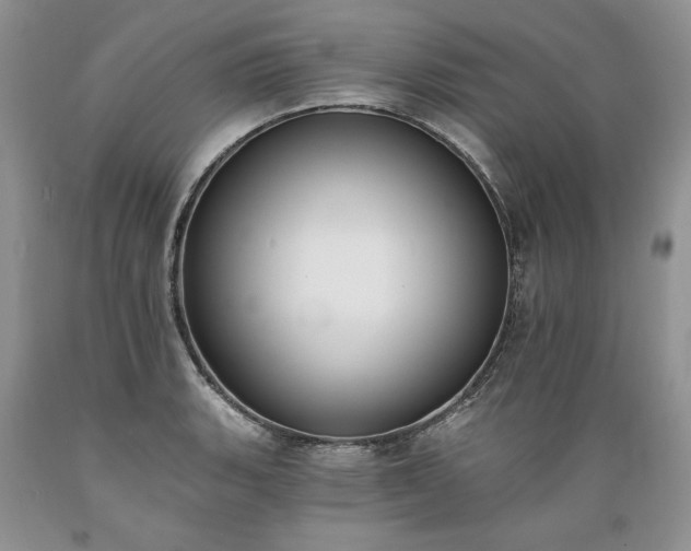 X0000089391135200706221312