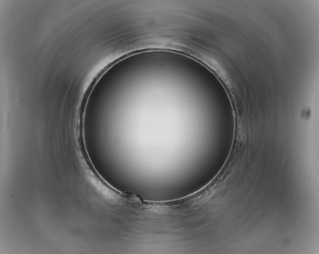 X0000089391136200706221312