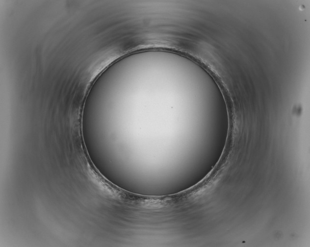 X0000089391137200706221312