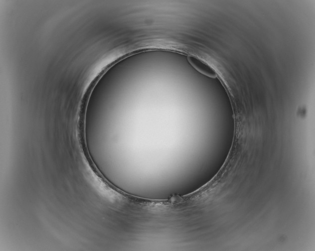 X0000089391139200706221312