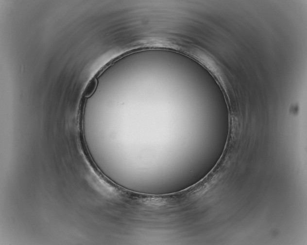 X0000089391141200706221312