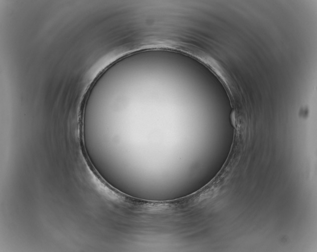 X0000089391143200706221312
