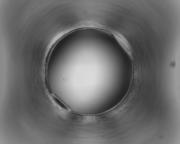 X0000089391144200706221312