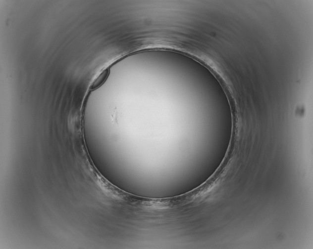 X0000089391145200706221312
