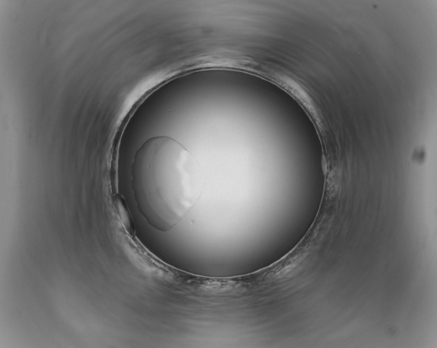 X0000089391146200706221312
