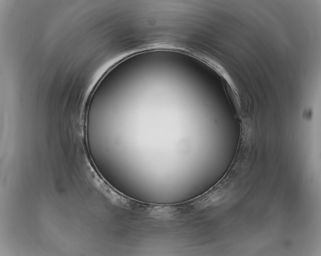 X0000089391148200706221312