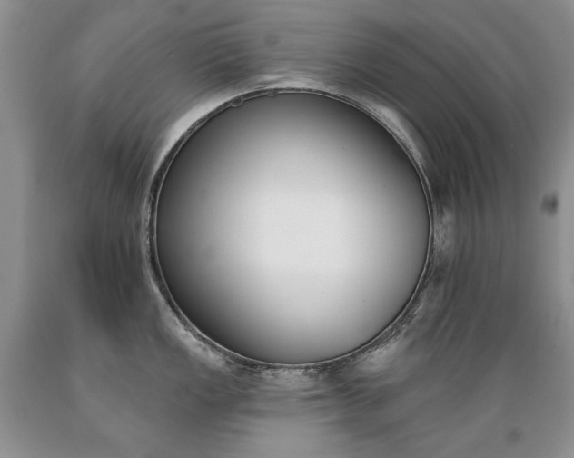 X0000089391149200706221312