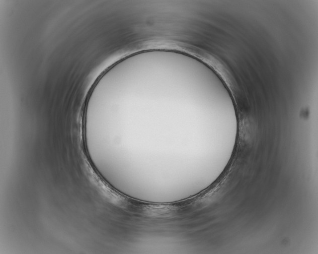 X0000089391150200706221312