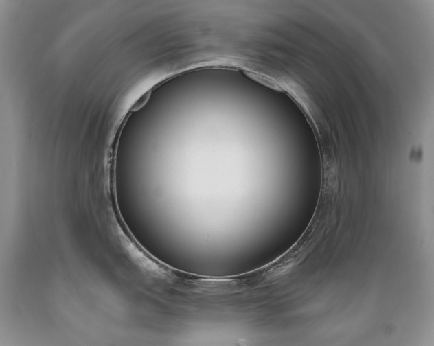 X0000089391151200706221312