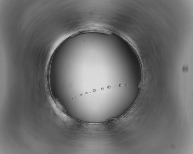 X0000089391152200706221312