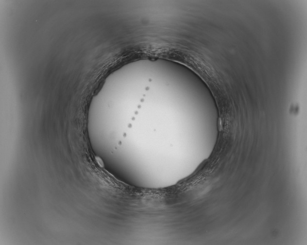 X0000089391153200706221311