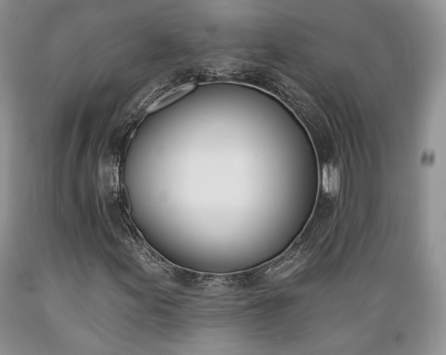 X0000089391155200706221311