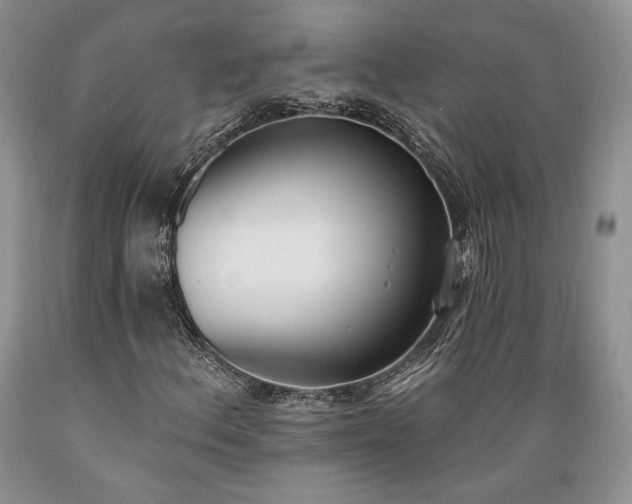 X0000089391156200706221311