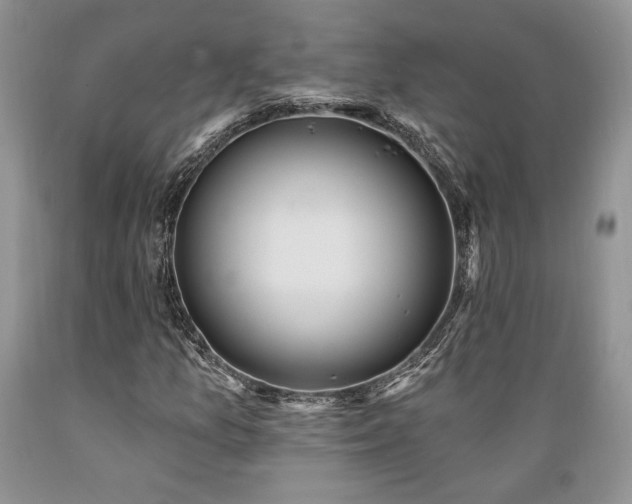 X0000089391157200706221311