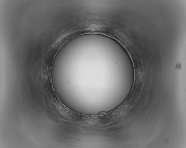 X0000089391158200706221311