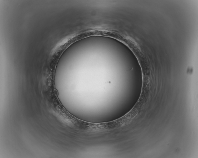 X0000089391159200706221311