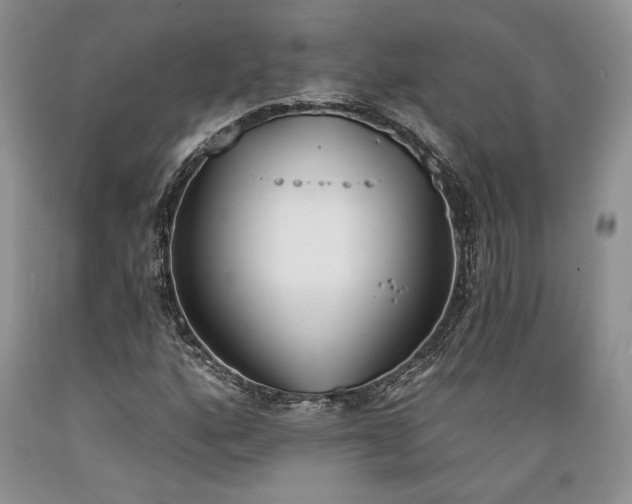 X0000089391160200706221311