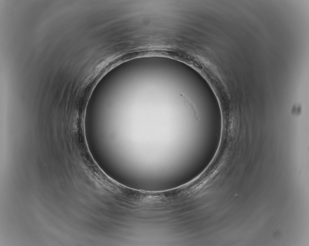 X0000089391161200706221311
