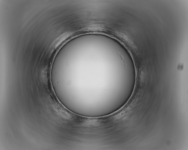 X0000089391162200706221311