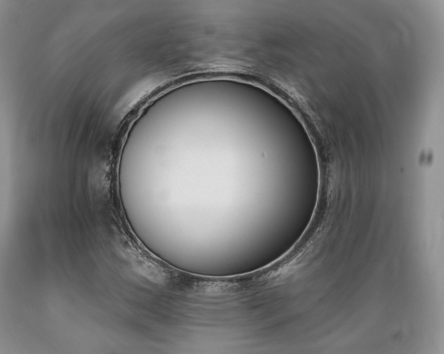 X0000089391163200706221311
