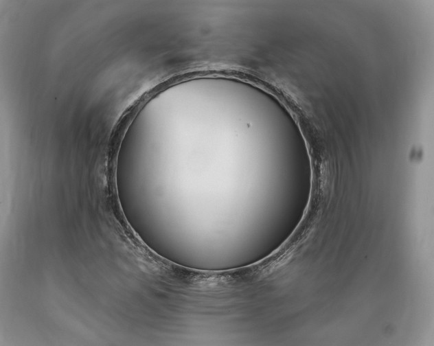 X0000089391165200706221311