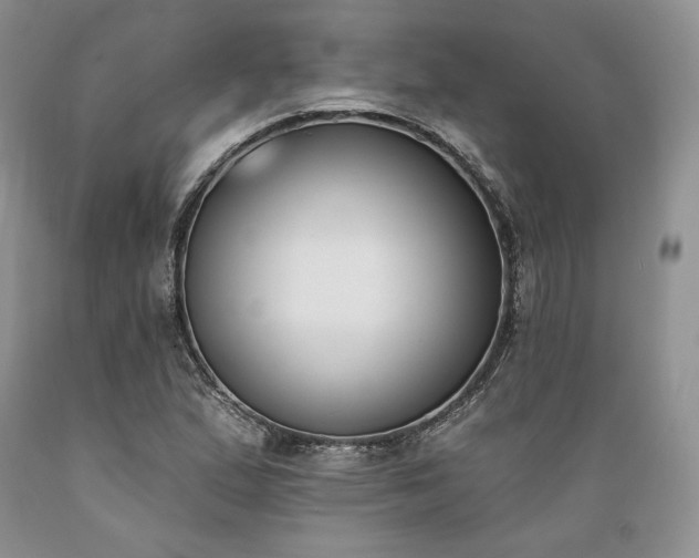 X0000089391167200706221311