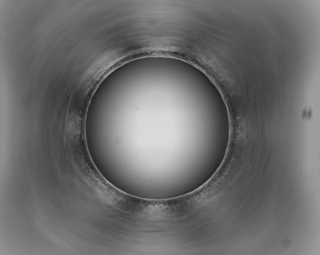 X0000089391169200706221311
