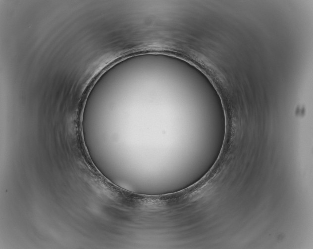 X0000089391170200706221311